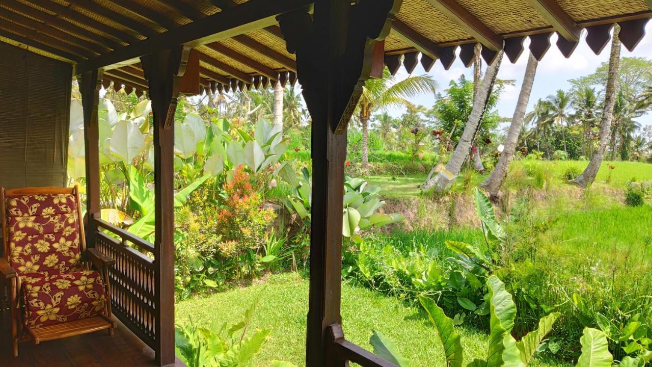 Villa Neyang Ουμπούντ Εξωτερικό φωτογραφία